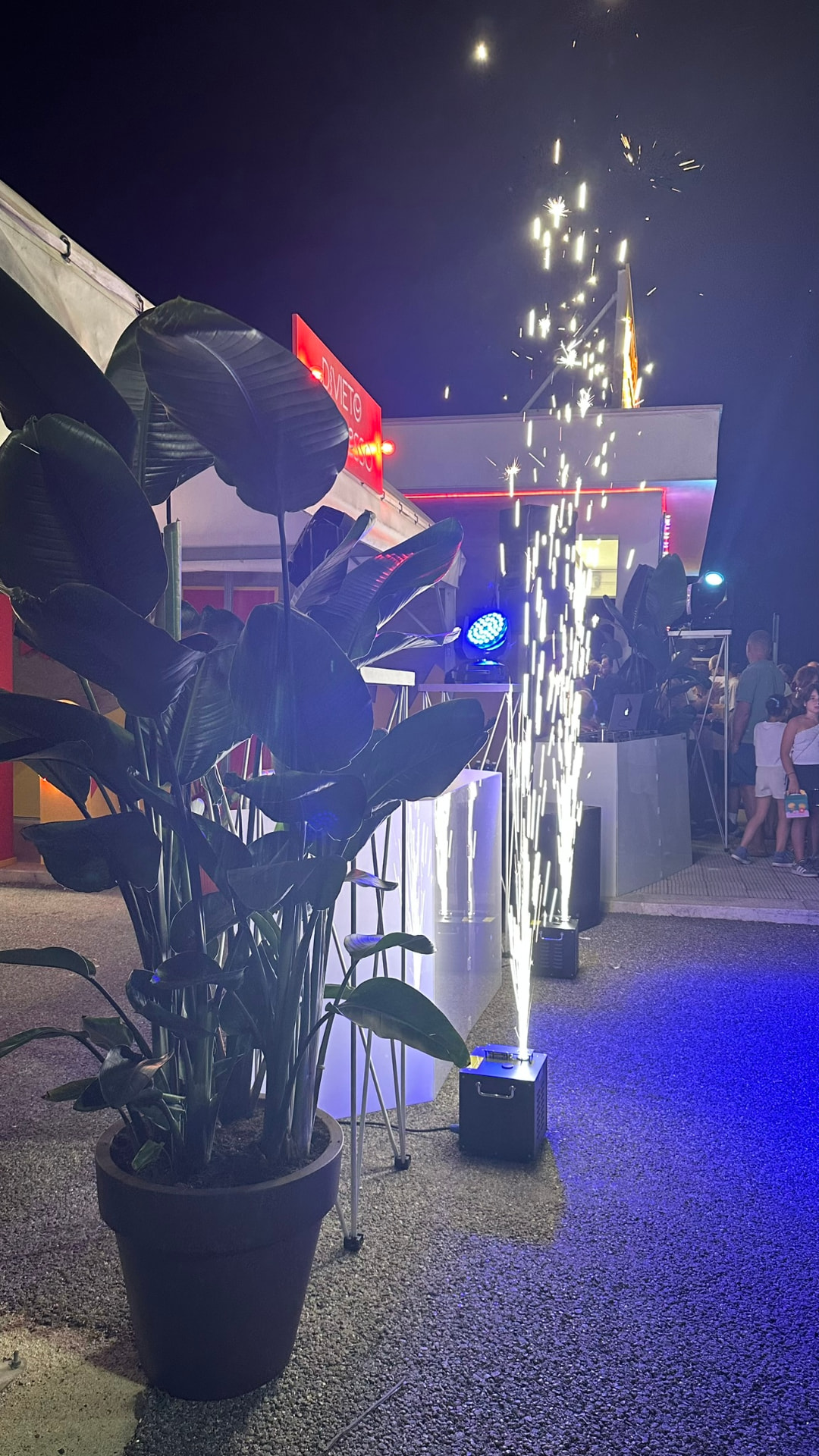 Fusc e Mang — Ruvo di Puglia. Grande Strelitzia in vaso come elemento scenografico all'ingresso del locale.