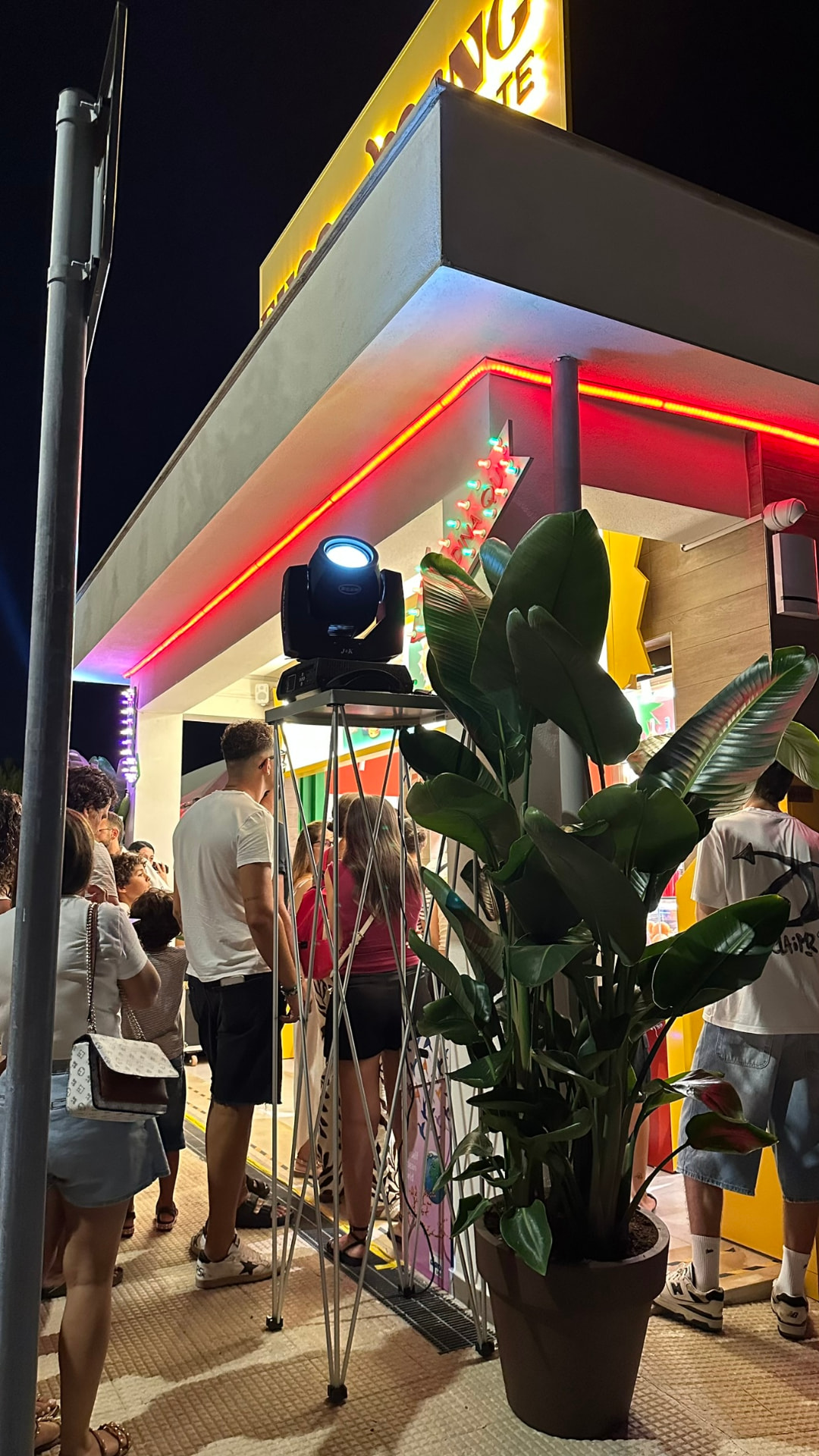 Fusc e Mang — Ruvo di Puglia. Grande Strelitzia in vaso come elemento scenografico all'ingresso del locale.